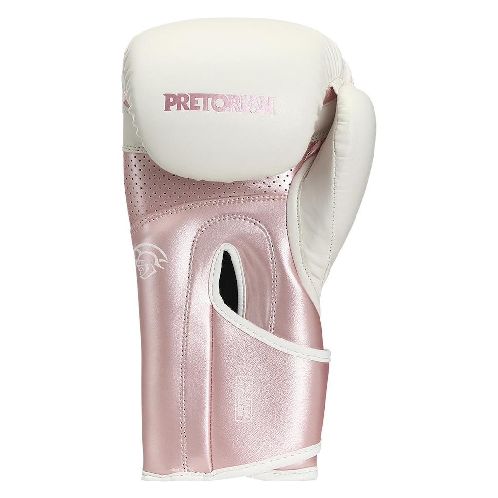 Imagem 2 do produto Kit Luva de Boxe e Muay Thai Elite Pretorian