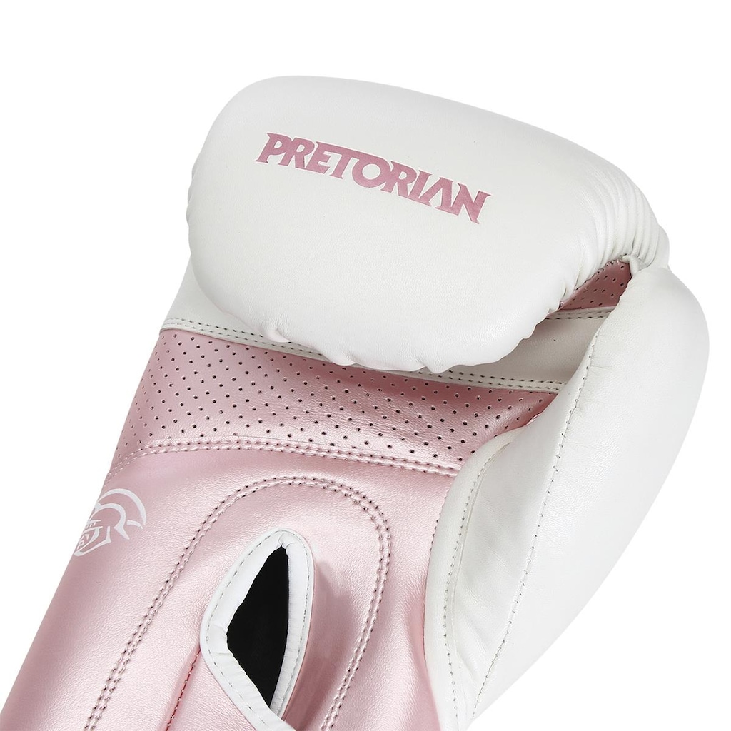 Imagem 3 do produto Kit Luva de Boxe e Muay Thai Elite Pretorian
