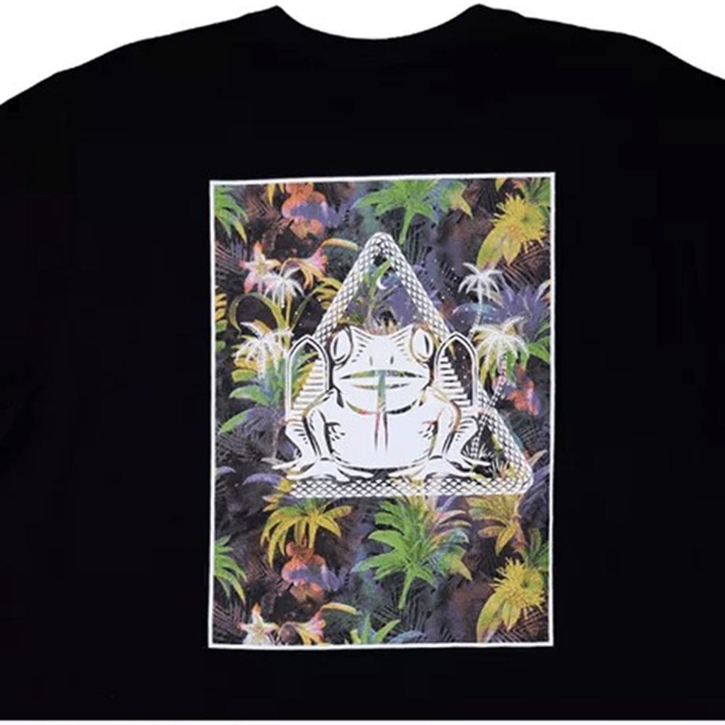 Imagem 3 do produto Camiseta Oakley Psy Frog Back Print - Masculina