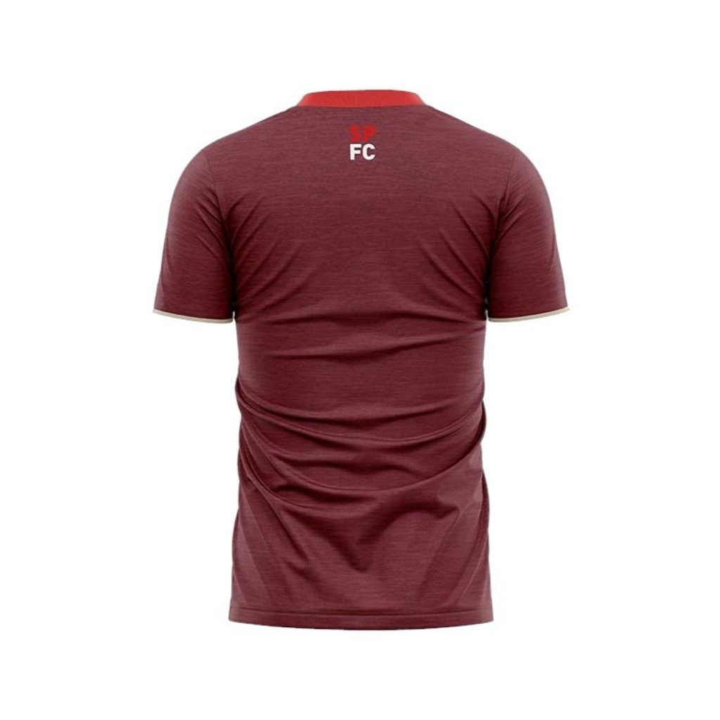 Imagem 2 do produto Camiseta Braziline São Paulo Digno ADT - Masculina
