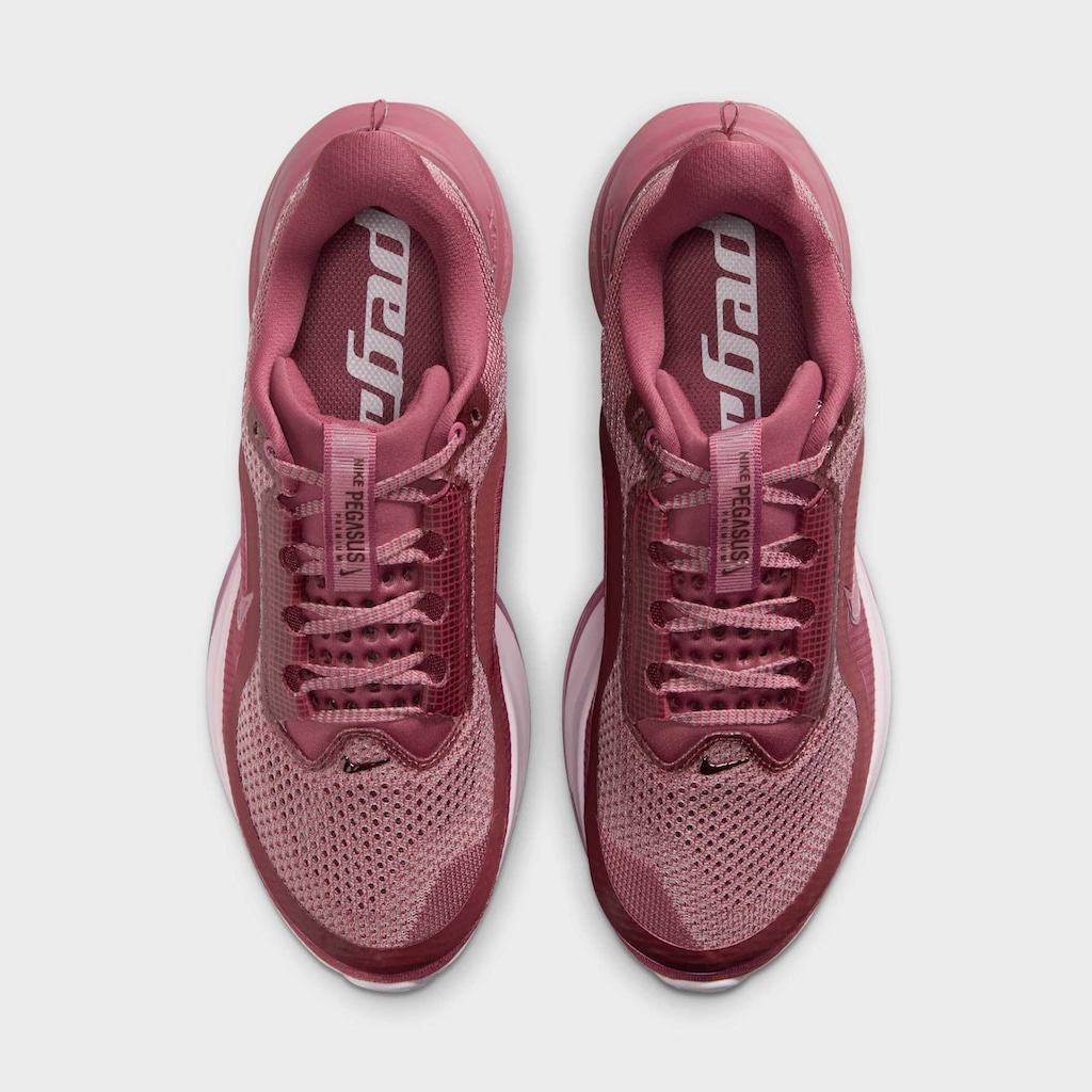 Imagem 2 do produto Tênis Nike Pegasus Premium Feminino