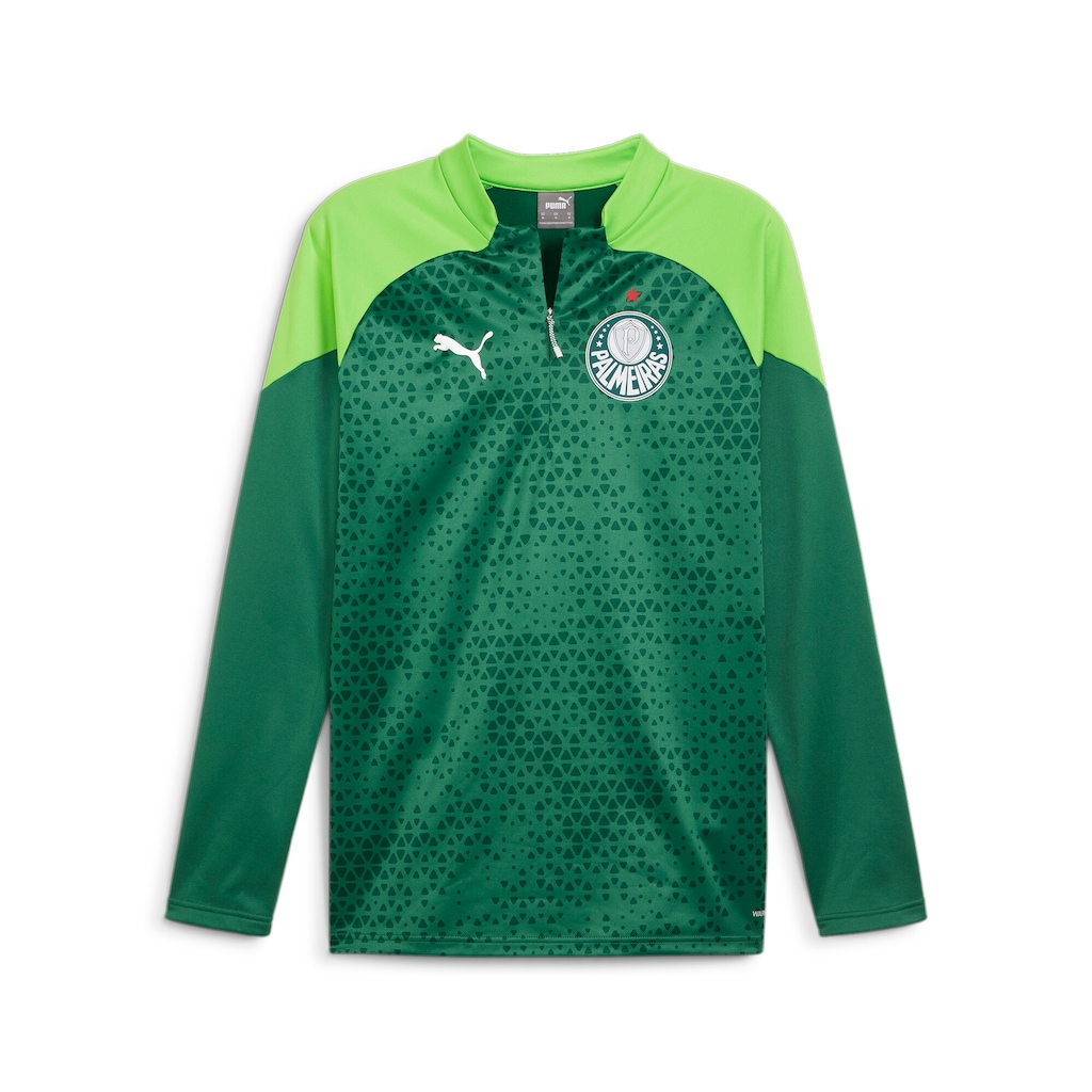 Imagem 1 do produto Camisa Puma Treino Palmeiras 2024 Fleece - Masculina