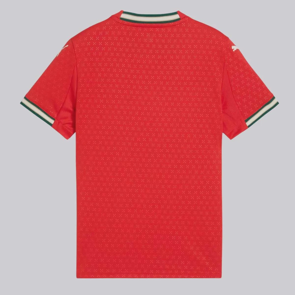 Imagem 2 do produto Camisa Puma Portugal Home 2025 - Infantil
