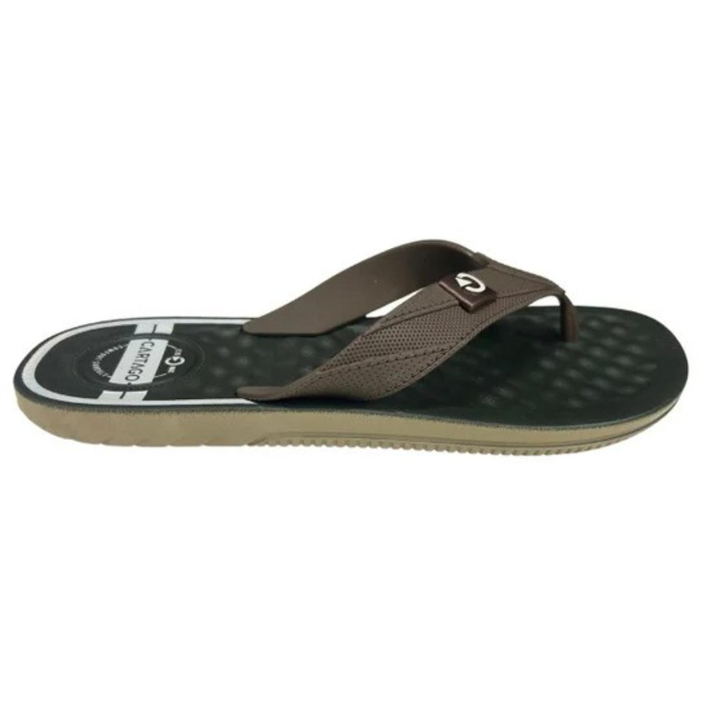 Imagem 3 do produto Chinelo Cartago Arizona - Masculino