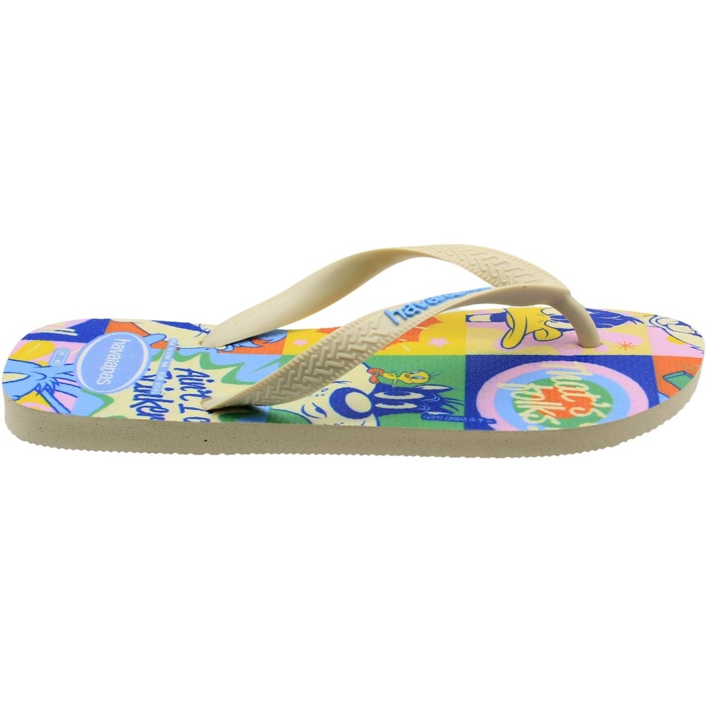 Imagem 2 do produto Chinelo Havaianas Top Warner Masculino