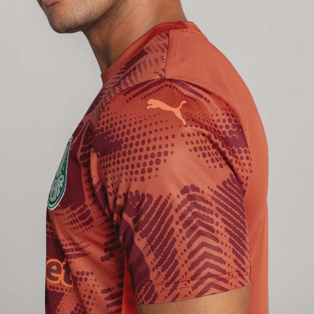 Imagem 3 do produto Camisa do Palmeiras Puma Goleiro II 2025 Masculina