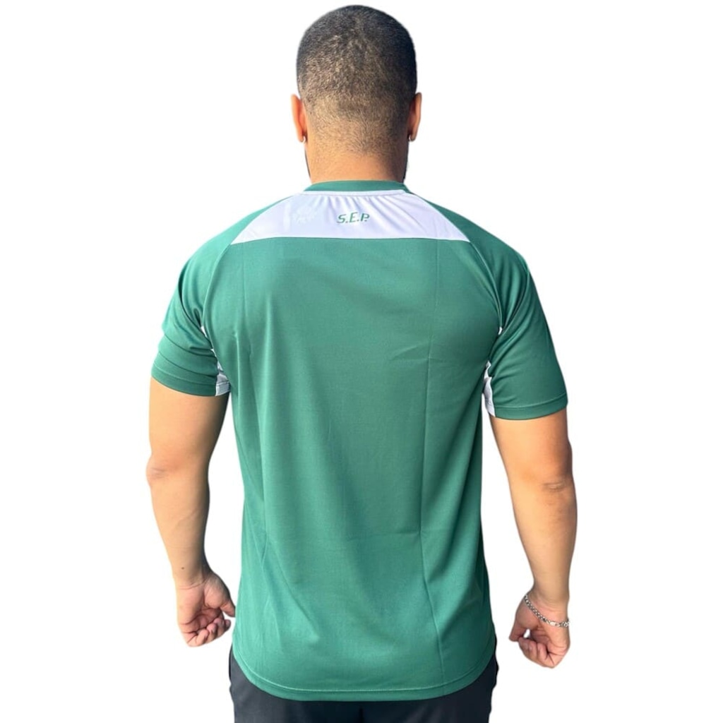 Imagem 2 do produto Camiseta Palmeiras Betel Player II Masculina