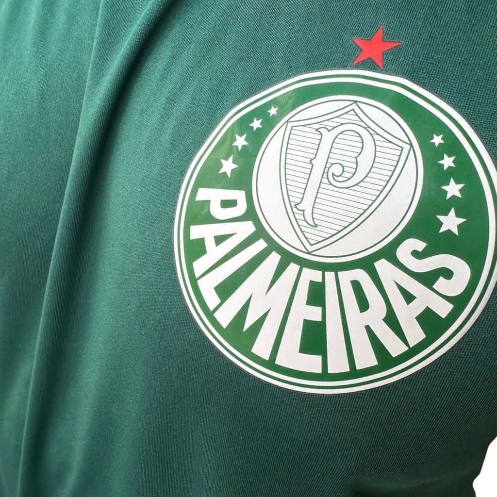 Imagem 4 do produto Camiseta Palmeiras Betel Player II Masculina