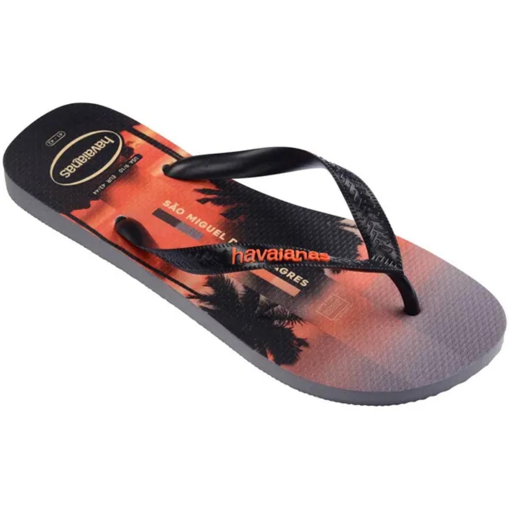 Imagem 2 do produto Chinelo Havaianas Top Surfer Masculino