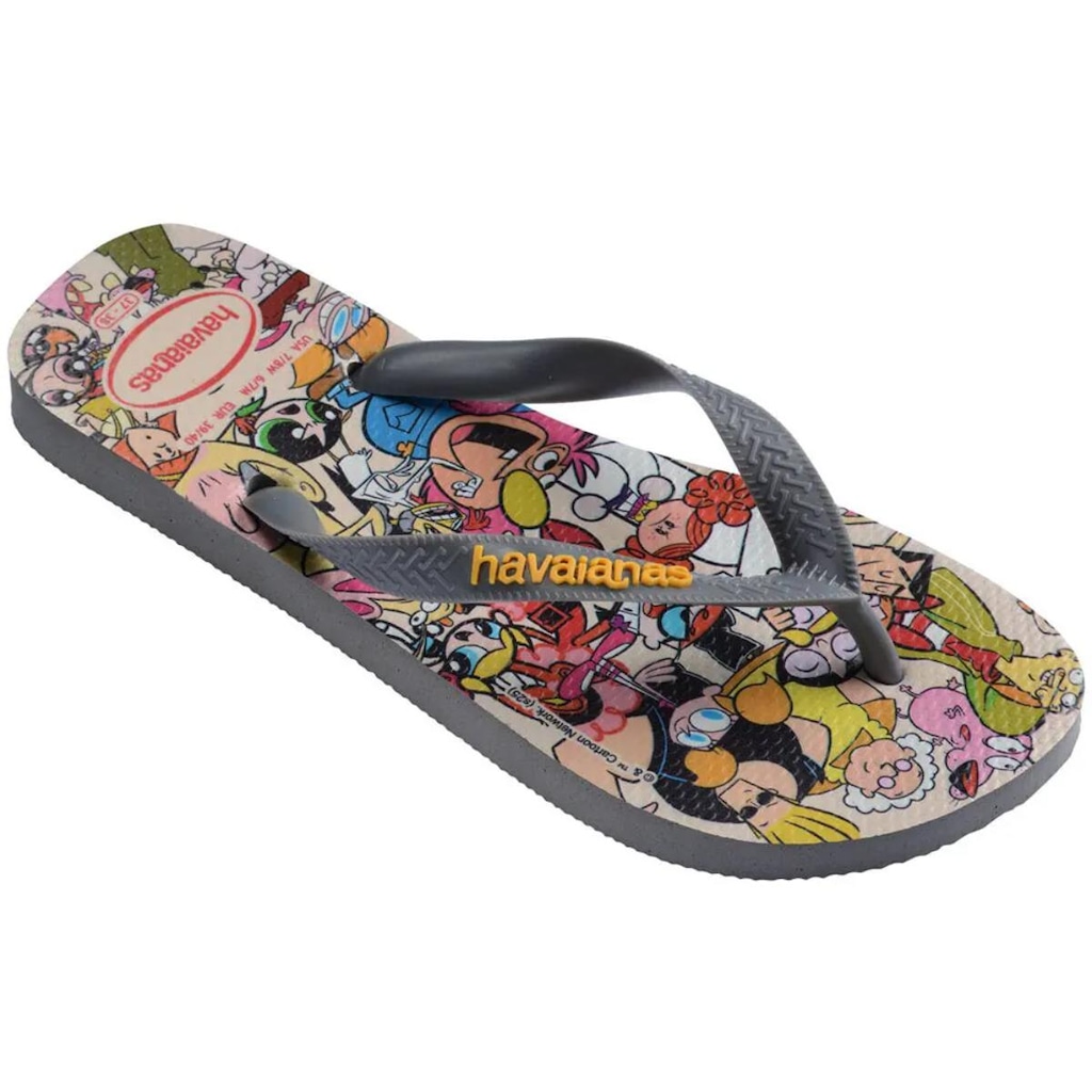 Imagem 2 do produto Chinelo Havaianas Top Warner Classics Masculino