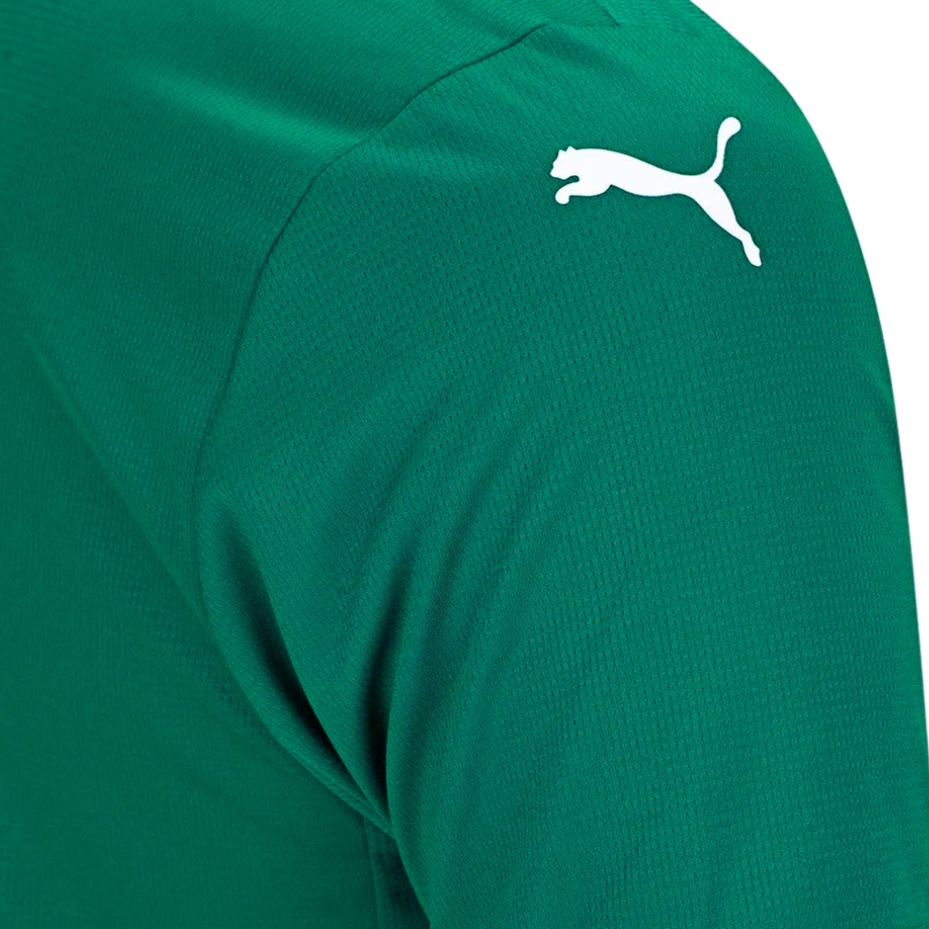Imagem 5 do produto Camisa do Palmeiras Home 2026 Puma Masculina
