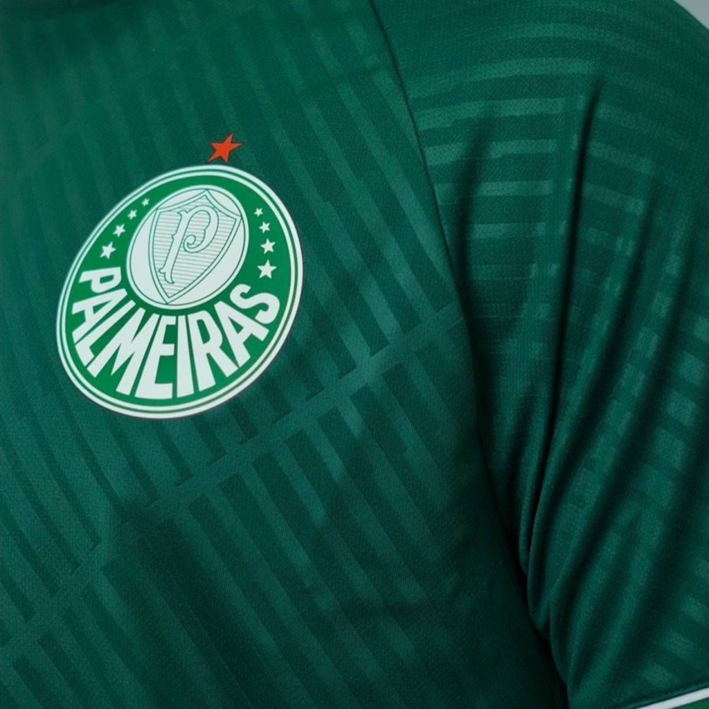 Imagem 4 do produto Camiseta Betel Palmeiras Storm Masculina