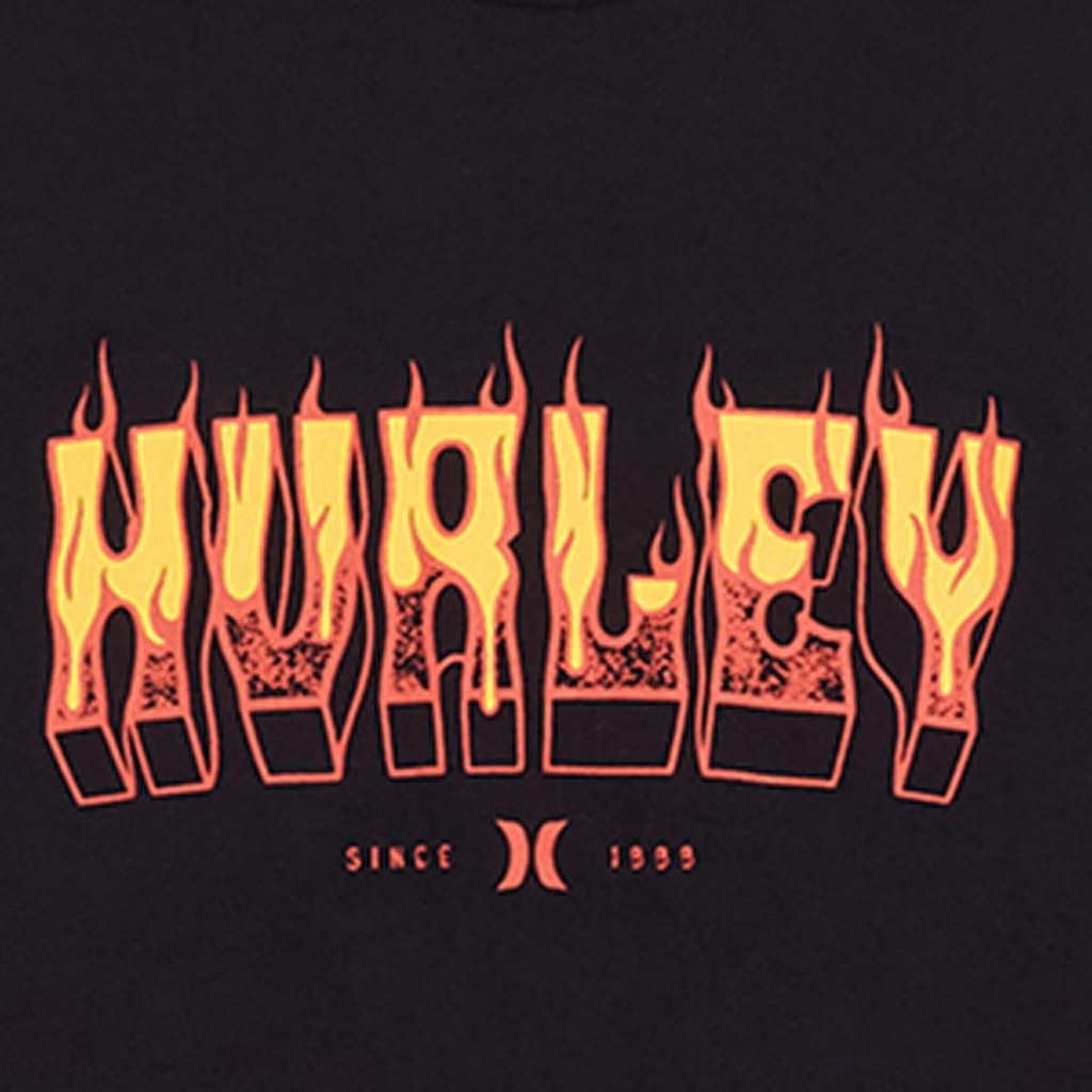 Imagem 2 do produto Camiseta Regata Hurley Flame SM26 Masculina