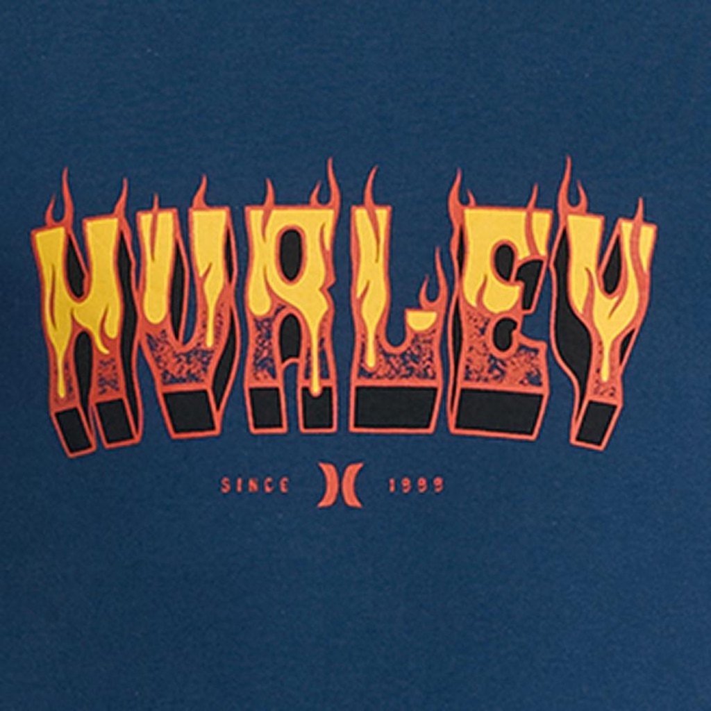 Imagem 2 do produto Camiseta Regata Hurley Flame SM26 Masculina