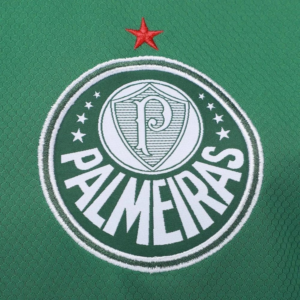 Imagem 3 do produto Camiseta do Palmeiras Betel Challenge II Masculina