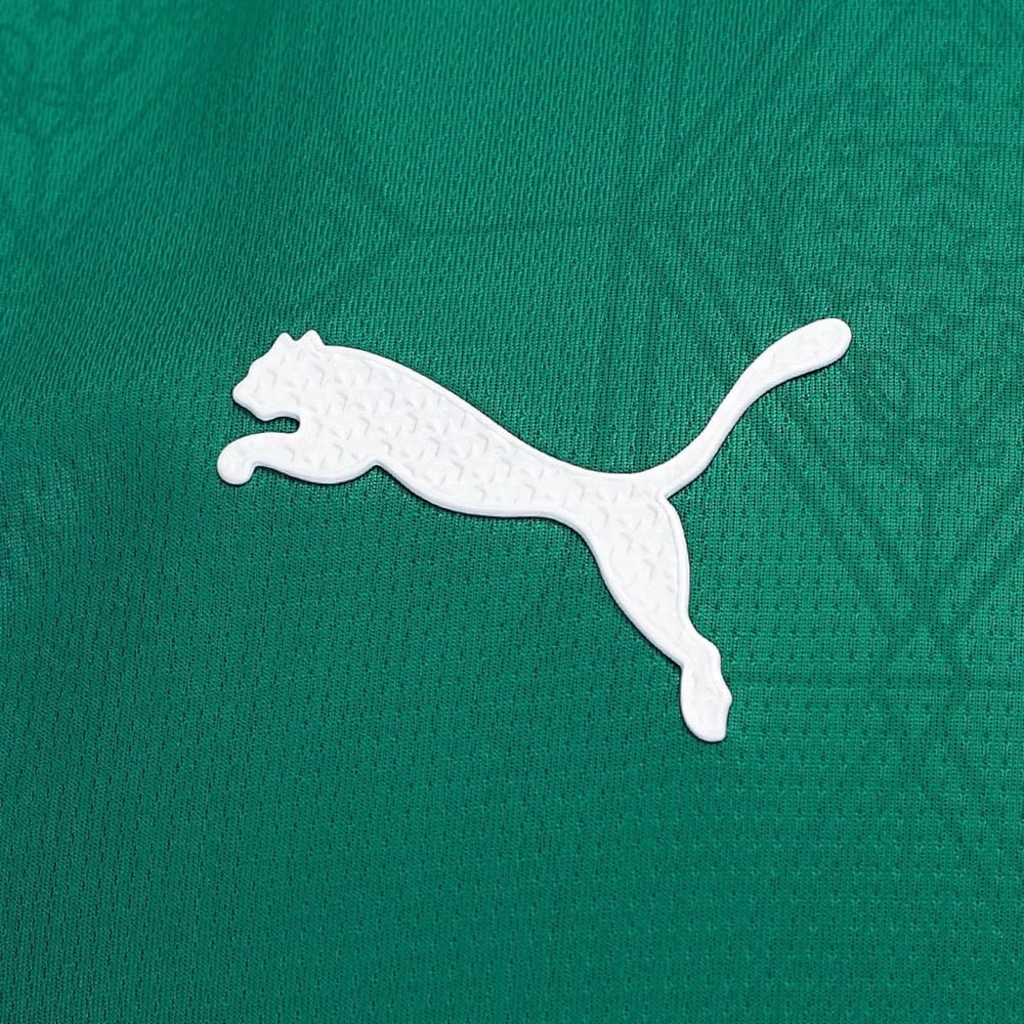 Imagem 4 do produto Camisa Do Palmeiras I Puma 25/26 Jogador C/Patrocínio