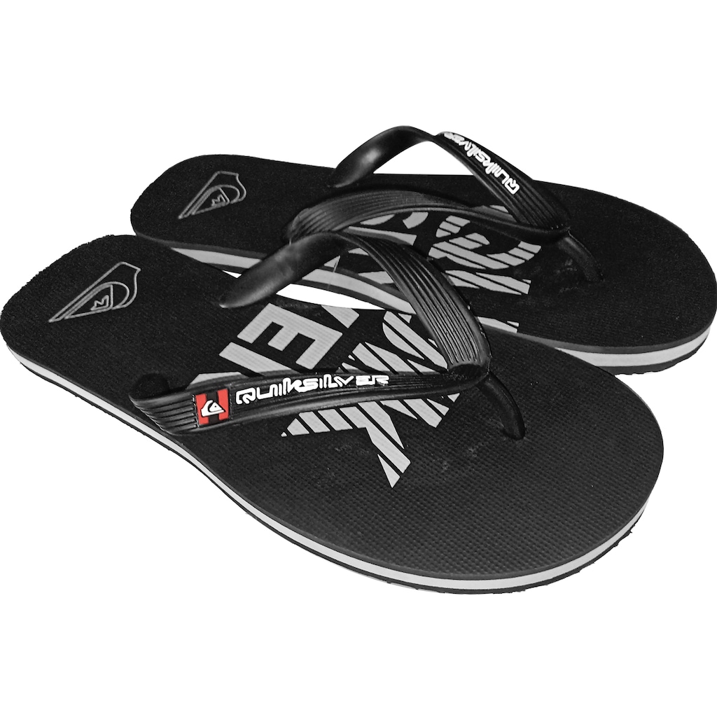 Imagem 2 do produto Chinelo Quiksilver Molokai Silver Transfer Masculino
