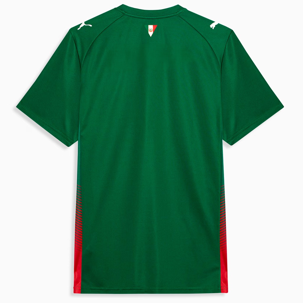 Imagem 2 do produto Camisa do Palmeiras Home Jersey Jogador 26/27 Puma Masculina