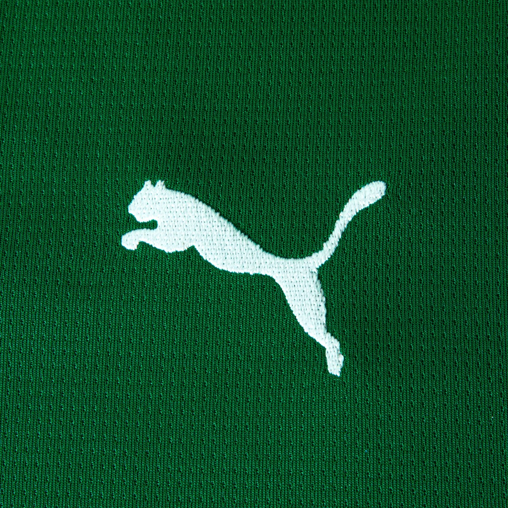 Imagem 4 do produto Camisa do Palmeiras Home Jersey Jogador 26/27 Puma Masculina