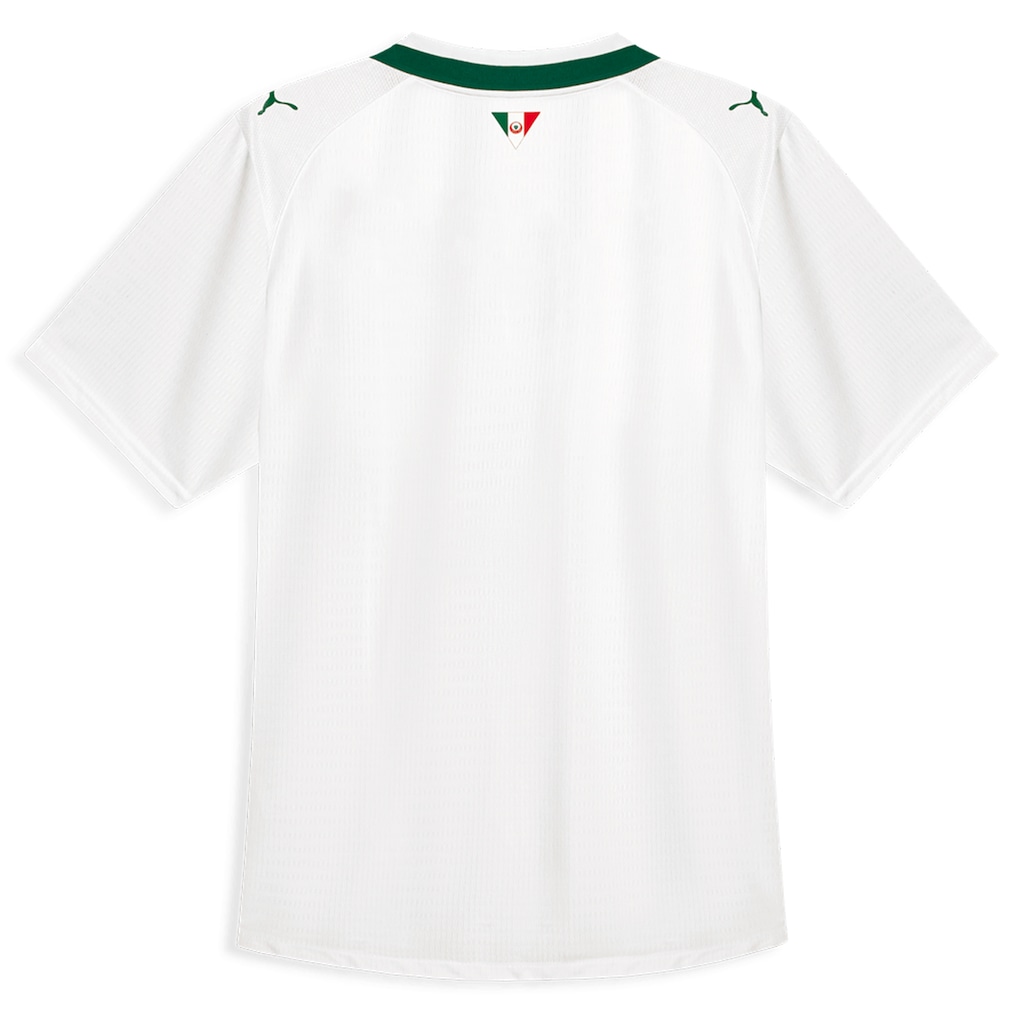 Imagem 2 do produto Camisa do Palmeiras Away Jersey Jogador 26/27 Puma Masculina