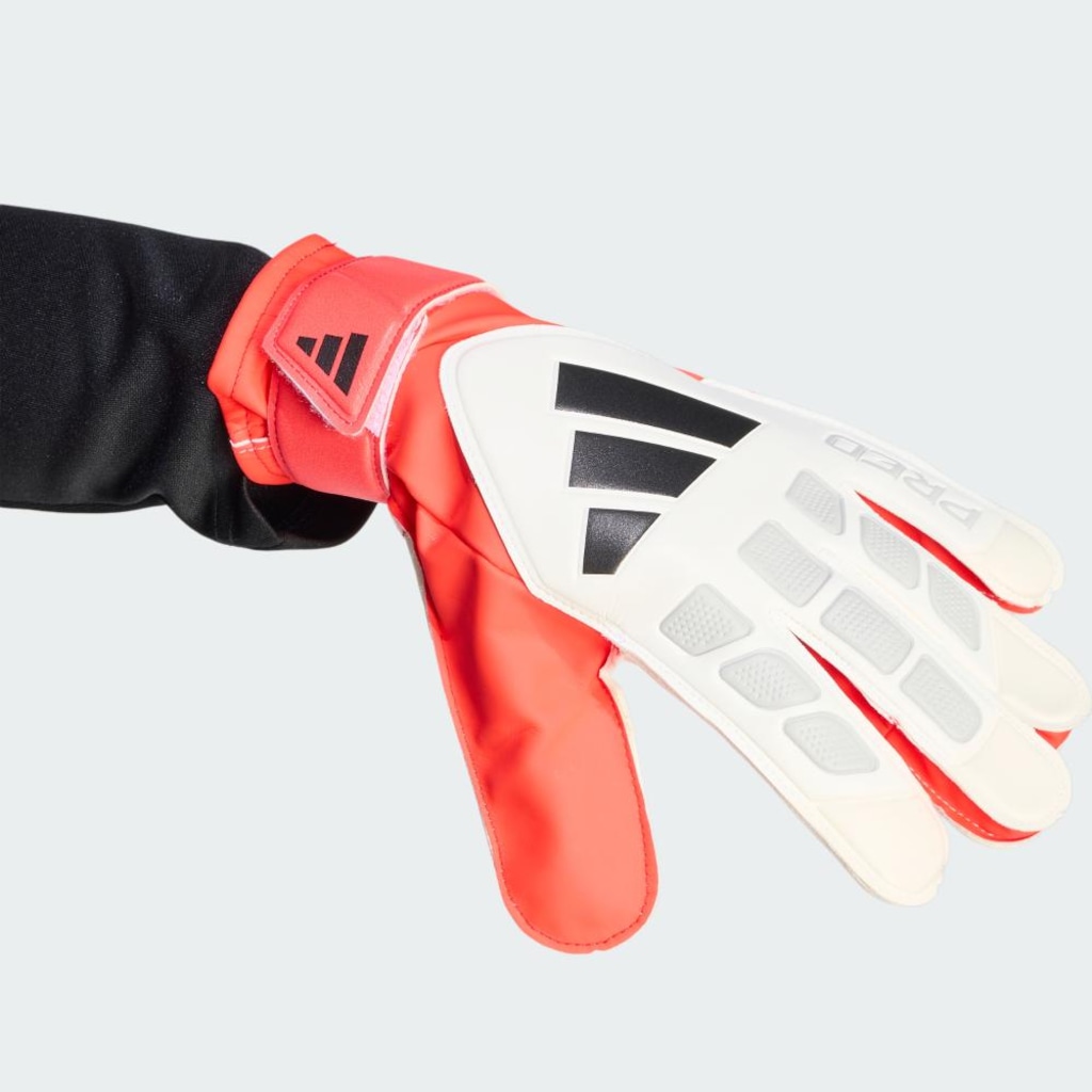 Imagem 5 do produto Luvas de Goleiro Adidas Predator Training Adulto