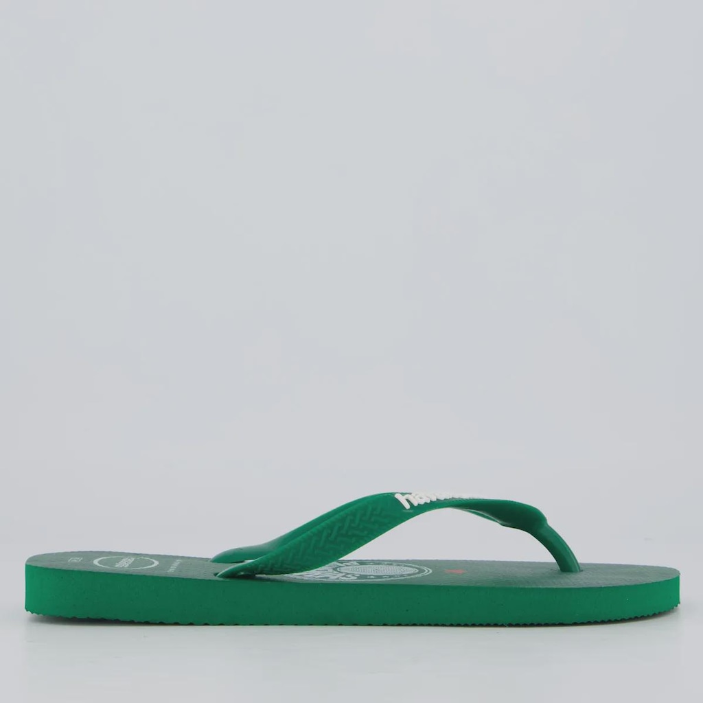 Imagem 2 do produto Chinelo Havaianas Palmeiras Ole Masculino