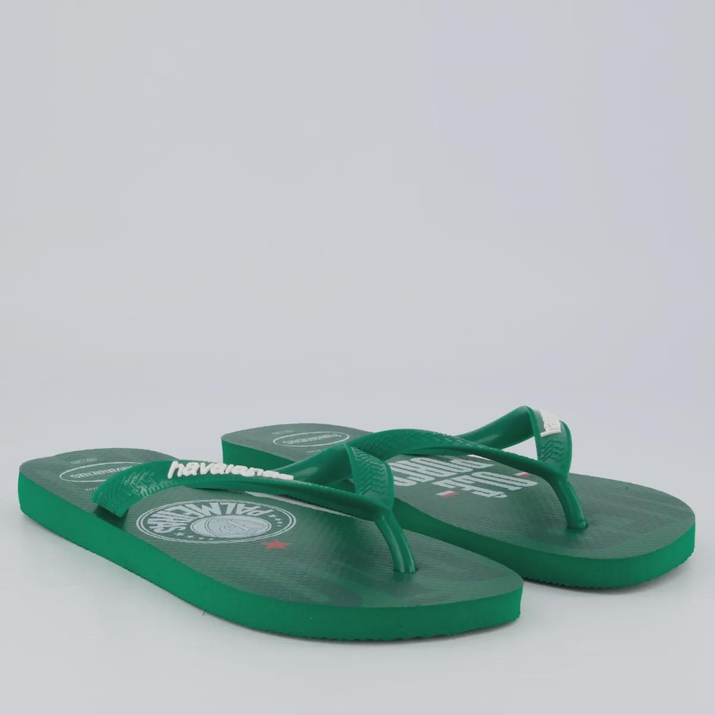 Imagem 3 do produto Chinelo Havaianas Palmeiras Ole Masculino