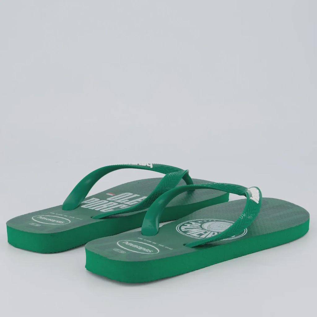 Imagem 4 do produto Chinelo Havaianas Palmeiras Ole Masculino