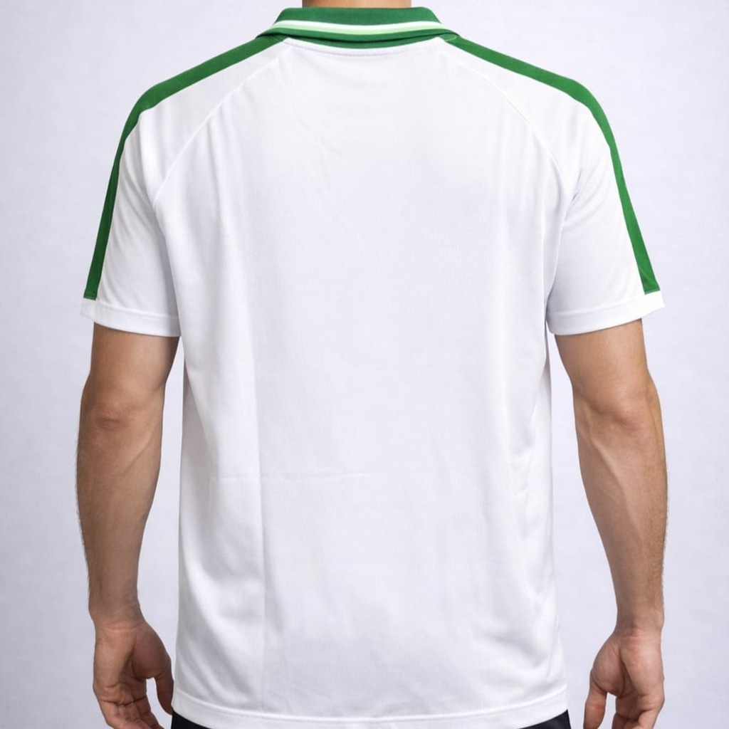Imagem 2 do produto Camiseta do Palmeiras Betel Goalkeeper Braziline - Masculina