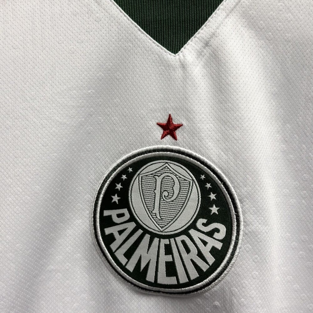 Imagem 3 do produto Camiseta do Palmeiras Betel Goalkeeper Braziline - Masculina