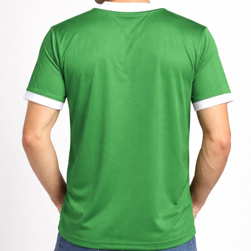 Imagem 2 do produto Camiseta do Palmeiras Betel Line Braziline - Masculina