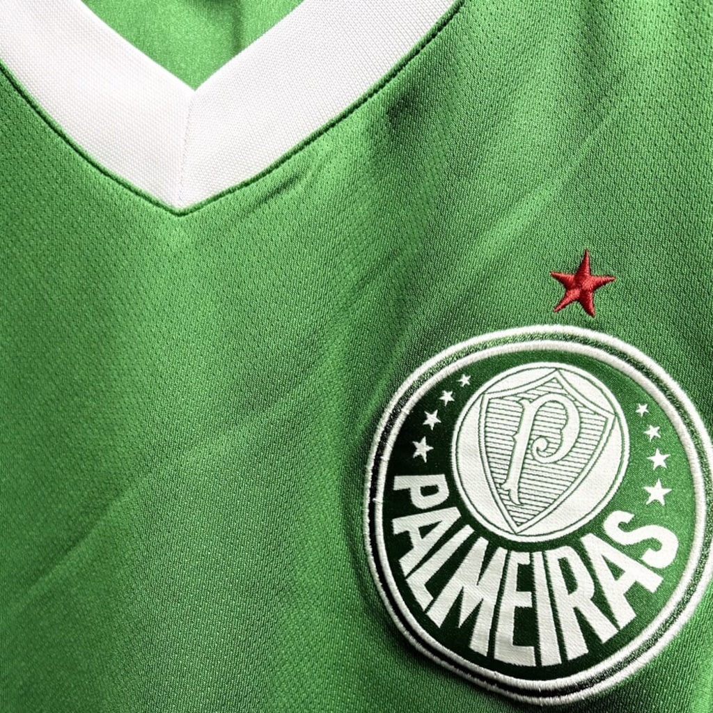 Imagem 3 do produto Camiseta do Palmeiras Betel Line Braziline - Masculina