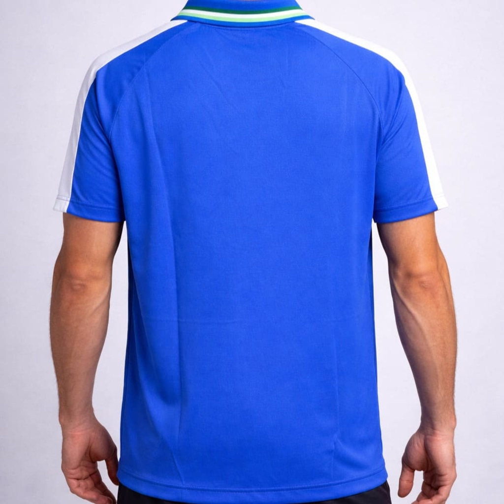 Imagem 2 do produto Camiseta do Palmeiras Betel Goalkeeper Braziline - Masculina