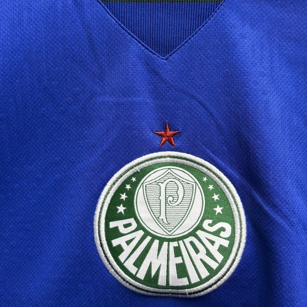 Imagem 3 do produto Camiseta do Palmeiras Betel Goalkeeper Braziline - Masculina