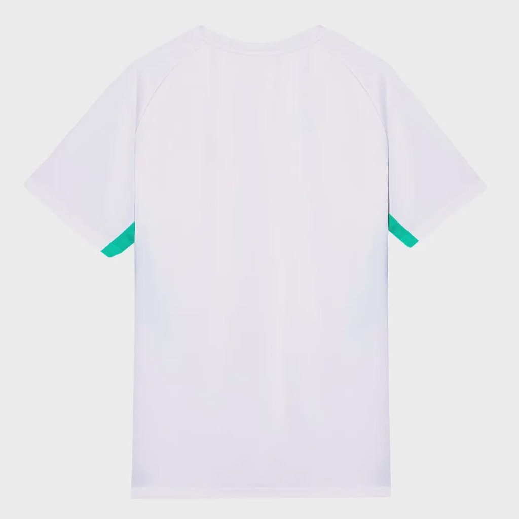 Imagem 2 do produto Camisa do Palmeiras Evostripe 26/27 Puma Masculina