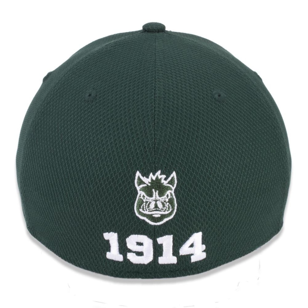 Imagem 4 do produto Boné New Era 39Thirty Palmeiras Masculino
