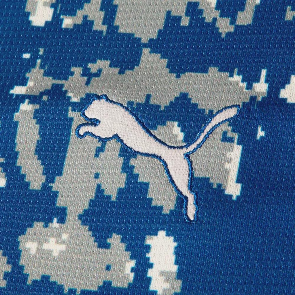 Imagem 4 do produto Camisa de Goleiro Palmeiras Edição Especial 2026 Puma Masculina - Torcedor