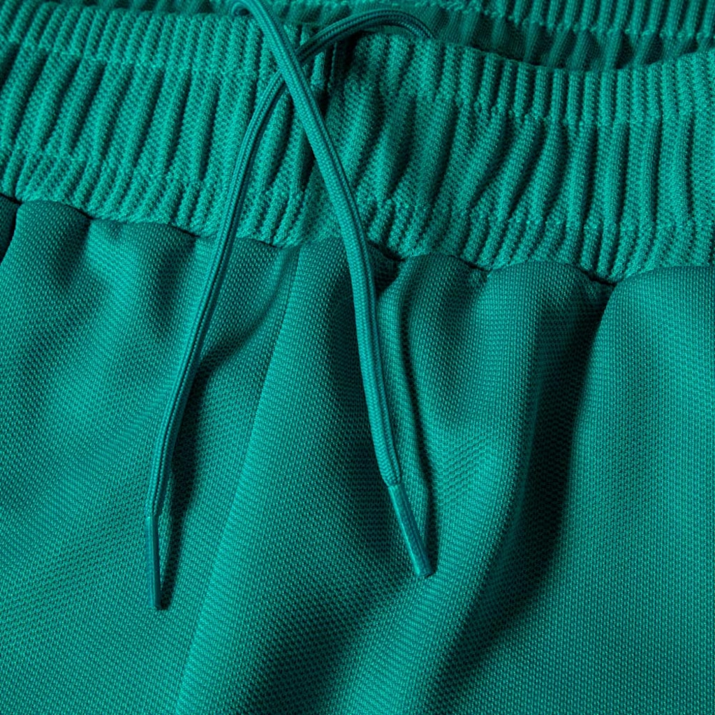 Imagem 5 do produto Calça Puma Palmeiras Evostripe 2026 Masculina