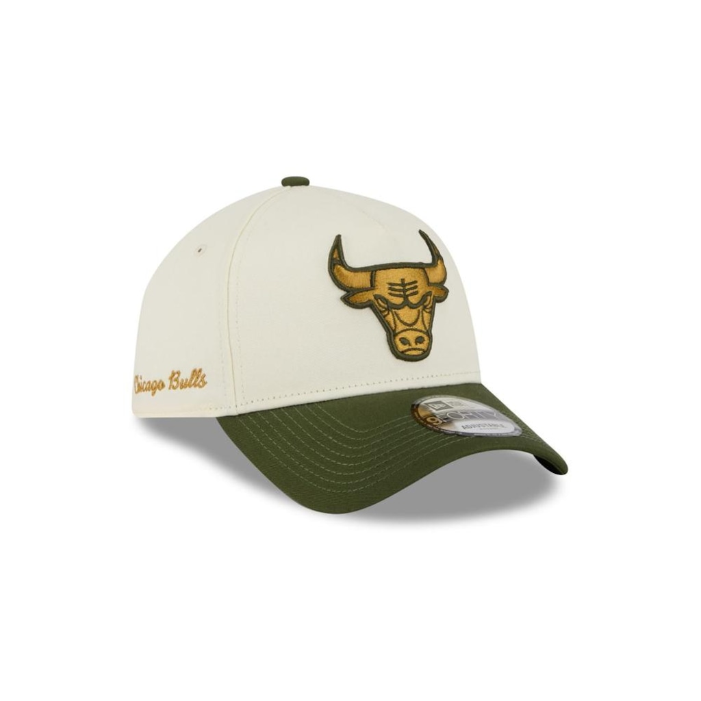 Imagem 3 do produto Bone New Era 9FORTY A-Frame SNAPBACK Chicago Bulls Masculino