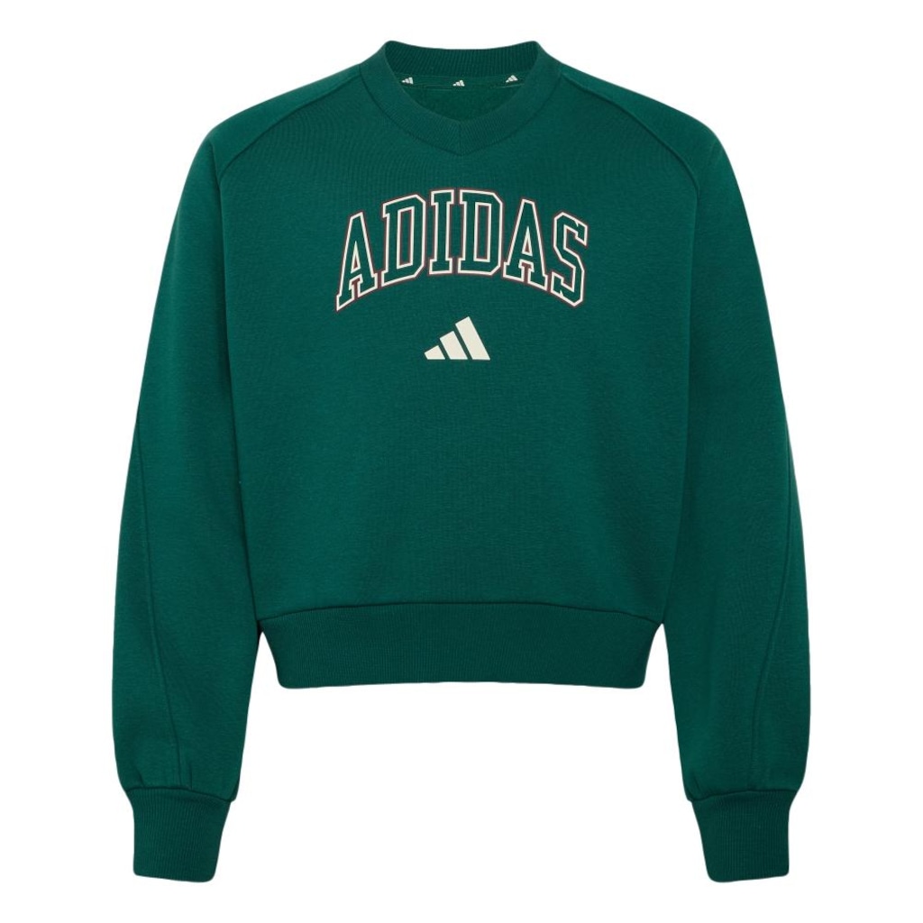Imagem 1 do produto Blusão de Moletom adidas Seasonals Collegiate Typography Infantil