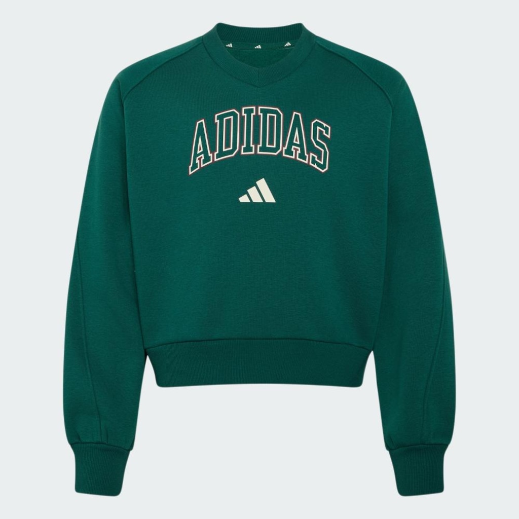 Imagem 2 do produto Blusão de Moletom adidas Seasonals Collegiate Typography Infantil