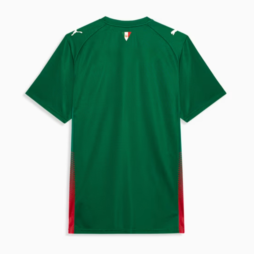 Imagem 2 do produto Camisa do Palmeiras I 26/27 Puma Torcedor Masculina