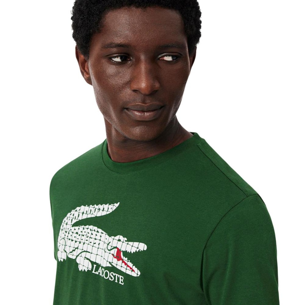 Imagem 3 do produto Camiseta Masculino Lacoste Roland Garros