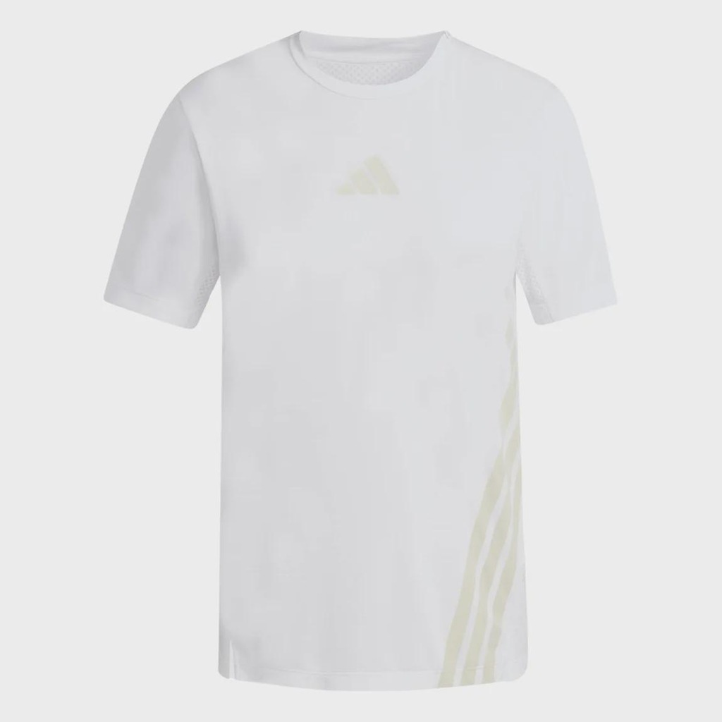 Imagem 5 do produto Camiseta adidas Terrex Xperior Feminino