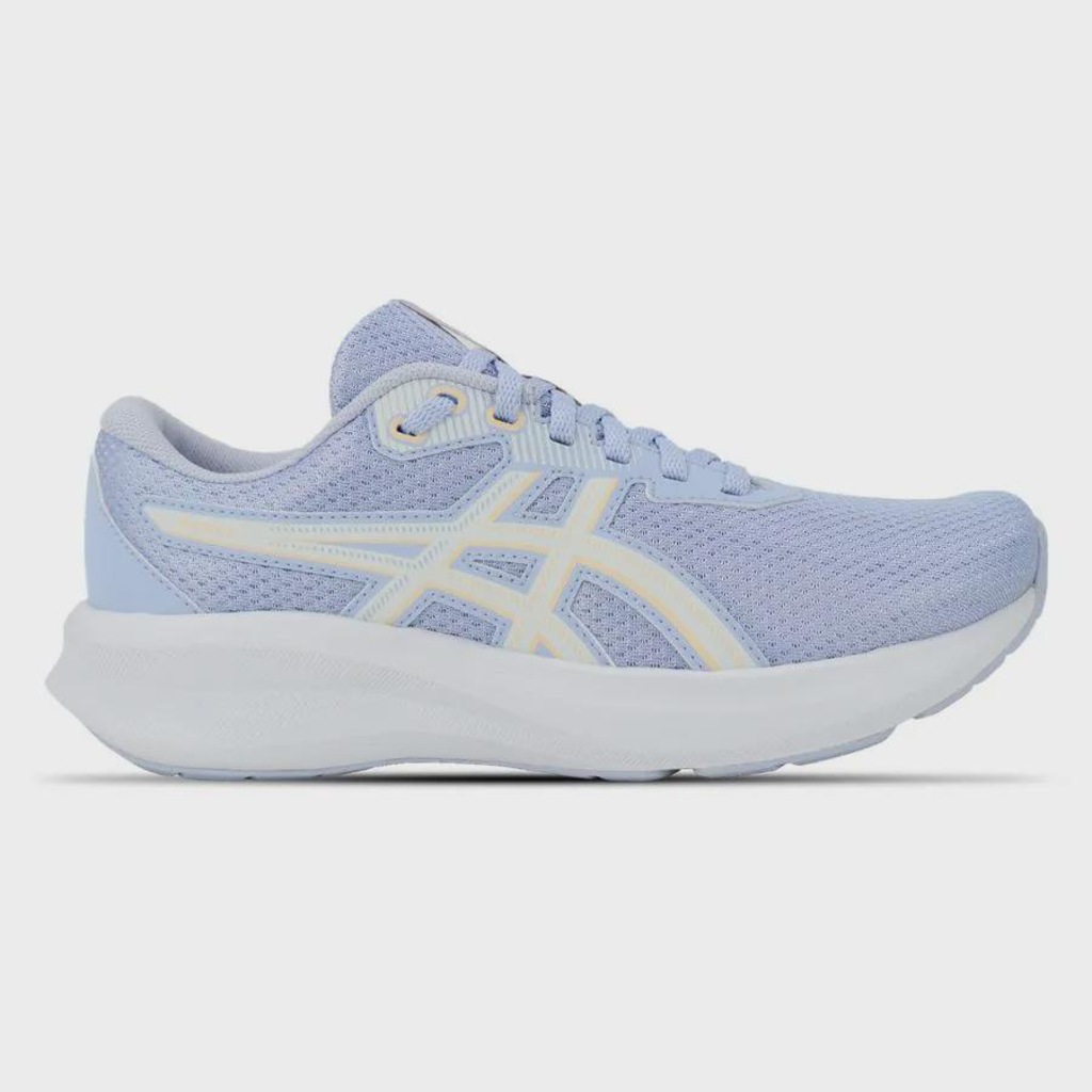 Imagem 1 do produto Tênis Feminino Asics Raiden 5