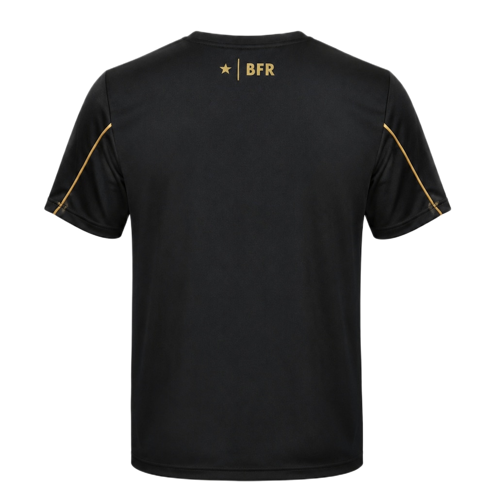 Imagem 4 do produto Camisa do Botafogo Auriflama Gloriosa Black Braziline - Masculina