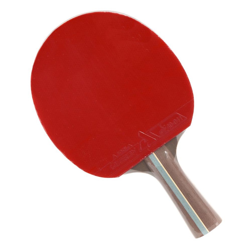 Imagem 1 do produto Raquete de Tênis de Mesa Joola Infinity Balance