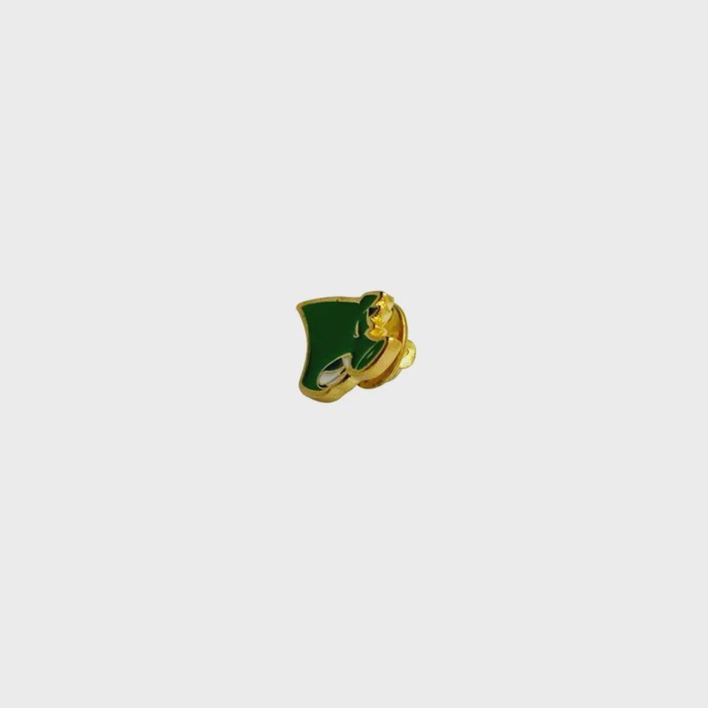 Imagem 2 do produto Botton do Palmeiras Cebola Brindes Gobatto