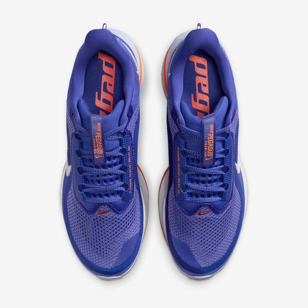 Imagem 4 do produto Tênis Masculino Nike Pegasus Premium