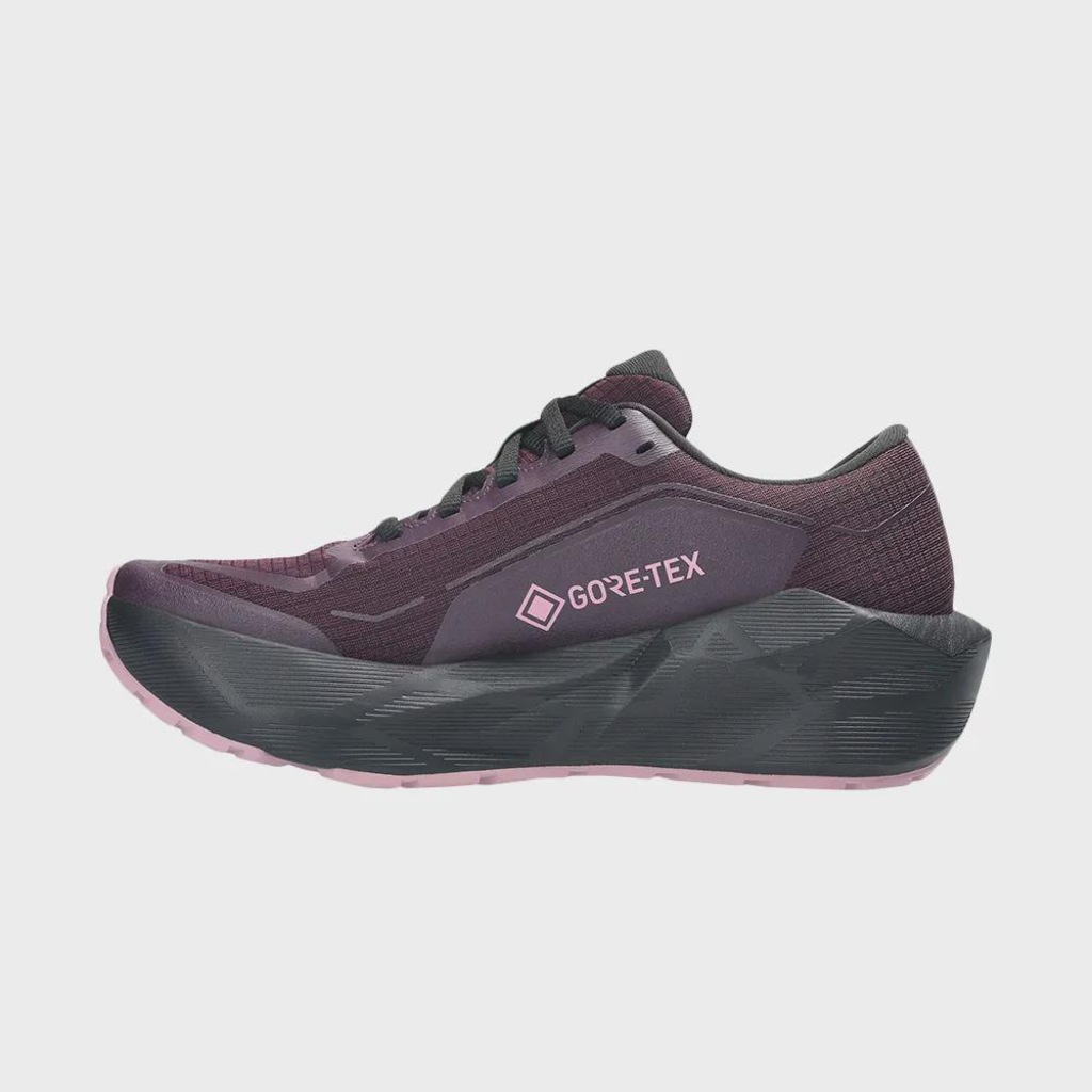Imagem 2 do produto Tênis Feminino Asics Novablast 6 GTX